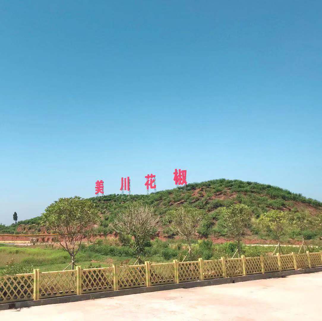 村企共創(chuàng)，建美麗宜居鄉(xiāng)村