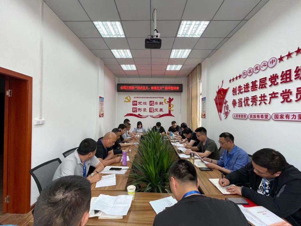 公司三支部召開黨員大會暨“形式主義、官僚主義”集中整治工作會