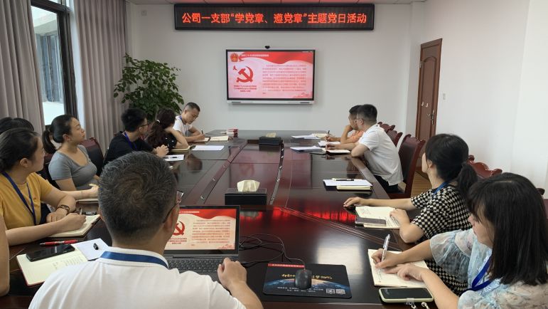 清源水務(wù)公司黨委組織開(kāi)展“學(xué)黨章、遵黨章”系列主題黨日活動(dòng)
